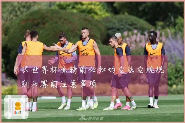 买世界杯竞猜前必知的合法合规规则和赛前注意事项